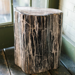 Petrified Wood Online Store - Products