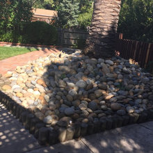 What to replace rocks around palm tree with to make space useable & pre