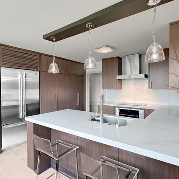 Contemporary Kitchen Remodel-Chicago