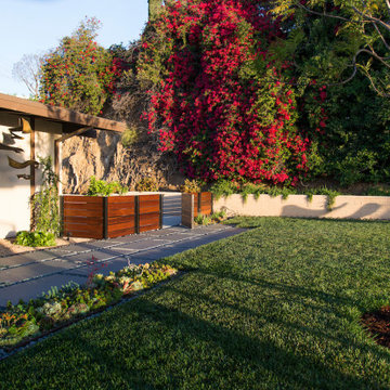 Lawn area, succulents and concrete pavers