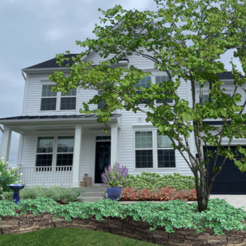 Foundation Plantings
