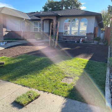 Kronos Tree Care & Landscaping