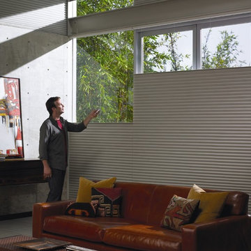 Window Treatments
