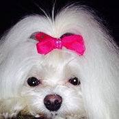 Betsy Mullett's photo