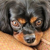Sharie Kearns's photo