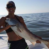 Cristi Kavanaugh's photo