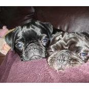 Bridget O'doherty's photo