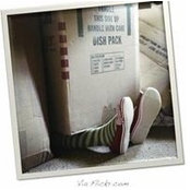 Allison Warrens foto