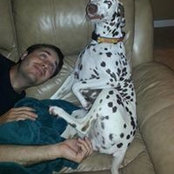 Daniel Klick's photo