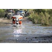 Nabil Ayoub's photo