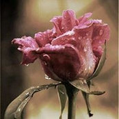 Александра Минчук's photo