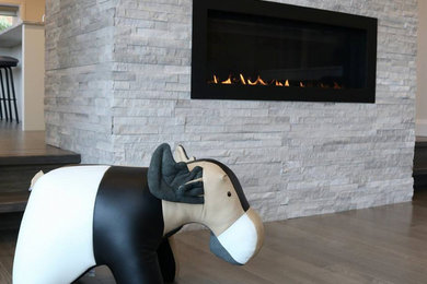 Living room - living room idea in Toronto