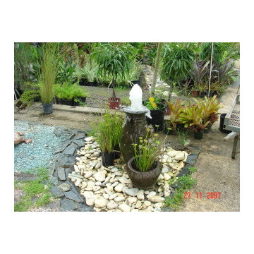 Biological Koi Ponds