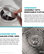 Dex 33" Undermount Stainless Steel 1-Bowl 16 gauge Kitchen Sink