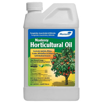 Monterey Horticultural Oil Ready to Use Concentrate, 32 Ounces
