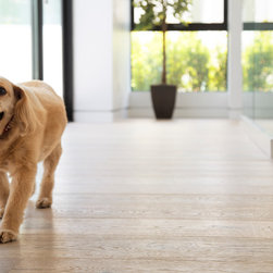 Lambrusco - Chene Collection - Engineered Wood Flooring