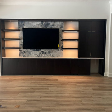 Great Room Built In Wall Unit with Hidden Wet Bar