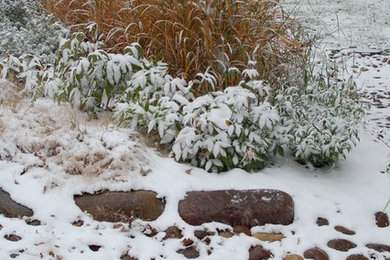Design ideas for a landscaping in Chicago.
