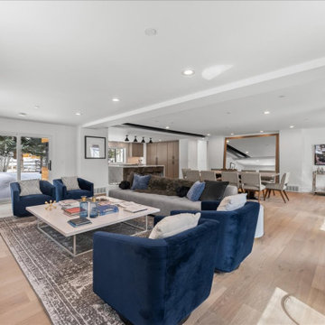 Park Meadows Remodel