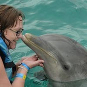 Donna Flint's photo