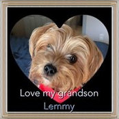 Aleta Tenney's photo