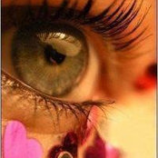 Caroll Morency's photo