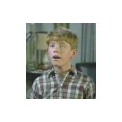 Foto de Kurt Strumpf
