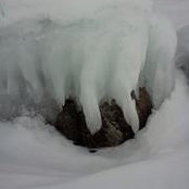 Tammi Stevenson's photo
