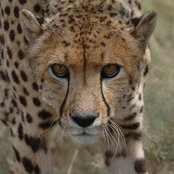 Jessica Davis's photo