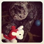 Tracey Choat's photo