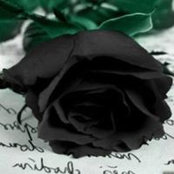 Brenda Patton's photo
