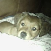 Amy Sirk's photo