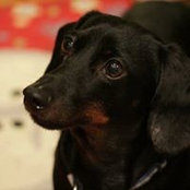 Sharon Sandlin Hamilton's photo