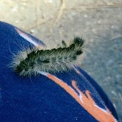 Emily Mcelroy's photo