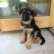 Steven Talbot's photo