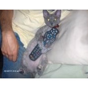 Melissa Meberg's photo