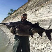 Brian Hammond's photo