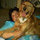 puddy_hall
