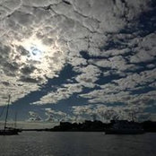 Todd Devines foto
