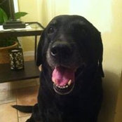 Laura Copley's photo