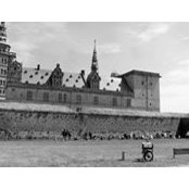 Jacque Mc's photo