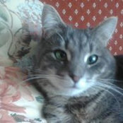 Susan Korecky's photo