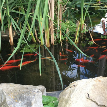 Pond build
