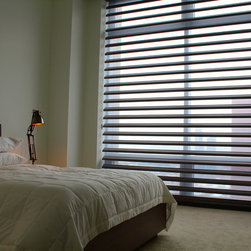 Hunter Douglas Pirouettes - Chicago - Window Treatments