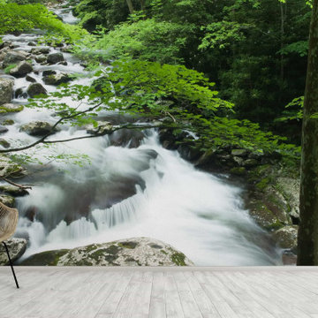 Little River Smoky Mountains