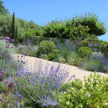 France outdoor