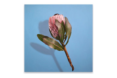 Fragile VI (Available)