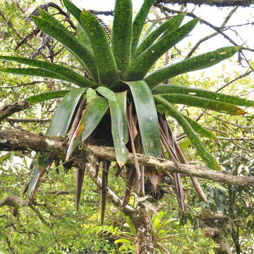 Costa Rica Travel