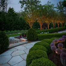 Side Yard