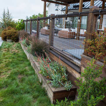 Resilient Landscapes with California native plants